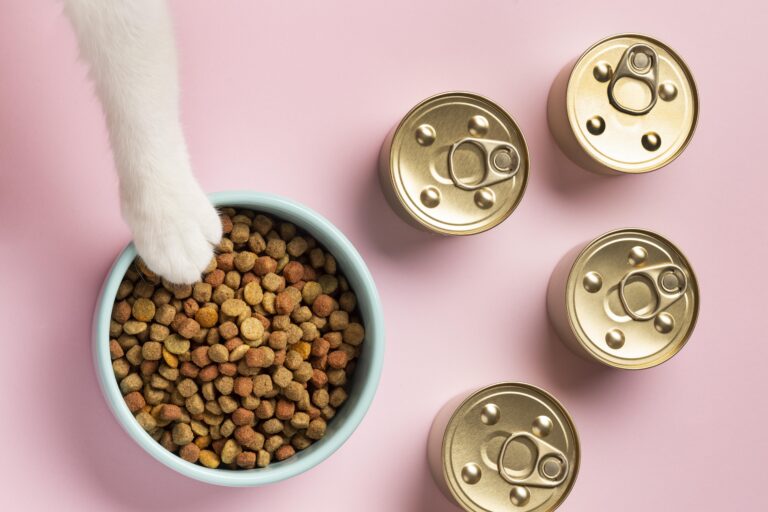 still-life-domestic-animal-food-composition